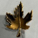 Large vintage enameled leaf brooch pin in rust color, maple leaf Photo 0