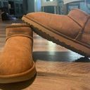 UGG Classic Mini Boot Photo 0