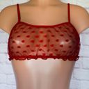 Boutique Red, Polka Dot, Lingerie Bralette Photo 0