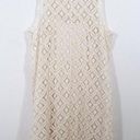 BB Dakota Cream Crochet Lace Sheer Boho Mini Slip Dress Photo 2