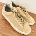 ALLSAINTS NWT  Shana Low Top Chunky Sole Suede Sneakers Oak Beige Women's US 11 Photo 5