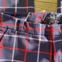 Tommy Hilfiger Plaid Red, White, Blue Slacks  Photo 2