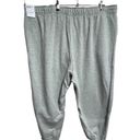 Nike  Womens Oversized Fit Mid Rise Sweatpants Joggers Gray Pockets Size 3X New Photo 1