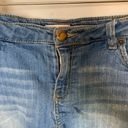 Bongo  Distressed Denim Short Photo 1