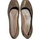 Donald Pliner  Petri Suede  Metallic Lt Bronze Sz 11 Photo 0