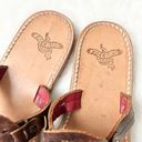 FREEBIRD by Steven  Vallarta Sandals Brown Leather Celestial Detail Size 7 Photo 3