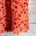 ASTR  the Label • Midi Dress • Lace • Coral • Medium Photo 4