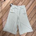 Who What Wear  Women's Mint Green Wide Leg Cropped Pants Size XXL. NEW Photo 1