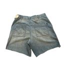 Pilcro NWT,  Super High Rise Oversized Bermuda Shorts with Fringe Hem, Sz 29 Photo 4