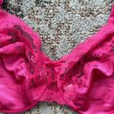 Fruit of the Loom  Underwire Lace Bra Hot Pink 38D Photo 1