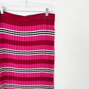 Anthropologie [] Dolan Pink Striped Dora Pleated Midi Sweater Skirt Size Large L Photo 3