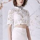 Asilio  The Mind Fall Top White Lace Crop Topper Size 4 Photo 0