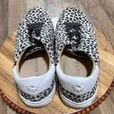 Jack Rogers  Women's Rory Sneaker Lace-Up Round Toe Black/White‎ Dots Size 8M Photo 3