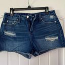 Time & Tru Denim Shorts  Photo 0