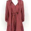 Zimmermann  Polka Dot Bow Chiffon Mini Dress in Burgundy Photo 0