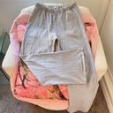 Brandy Melville heather grey anastasia sweatpants Photo 1