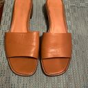 Madewell EUC  Mule Sandals Photo 3