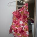 Showpo Pink Floral Dress Photo 1