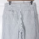 Madewell Emmett Wide Leg Crop Blue & White Striped Button Fly Pants Size 31 Photo 6