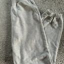 American Eagle Outfitters Sweatpants Photo 0