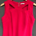 Calvin Klein  pink sleeveless dress with brass zipper and decorative neckline Photo 2