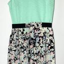 Love, Fire  Mint and Floral Skater Dress Photo 0