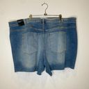 Lane Bryant  Girlfriend Raw Hem Blue Denim Shorts Floral Embroidered NWT Sz 28 Photo 5