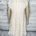 Suzanne Betro SB  NWT Size 2X White Lace Overlay - Nude Lining Flounce Hem Dress Photo 4