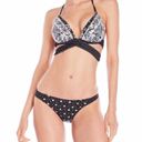 Gottex NWT  Synthetic Star Me Bikini Bottom Size 8 Photo 1