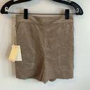 Wilfred Aritzia  Bossier Tan Faux Suede Shorts Photo 0