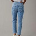 American Eagle Strigid Ripped Mom Jean Photo 2