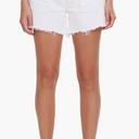 AGOLDE Parker Long High Waist Cutoff Denim Shorts Photo 0