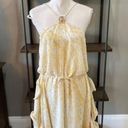 Alexis  Asia Ruffle Halter Medallion Mini Dress Golden Palms Womens Size Medium Photo 8