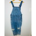 One Teaspoon ONE X  Hooligan Distressed Cropped Denim overalls size 28 Photo 1