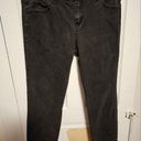 Calvin Klein  straight leg Petite Black Jeans 14P Photo 0