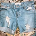 The Laundry Room Denim Shorts  Photo 4