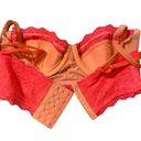 Anthropologie  | By Eloise Pink Lace Push Up Bra Barbie 5 Clasp Size 34B Photo 3