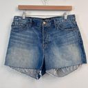 J Brand  Carly High Rise Denim Cut-Off Shorts NEW Size 29 Photo 3