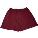 Daydreamer  Boyfriend Sweat Shorts Size L Photo 1