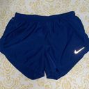 Nike Dri-Fit Running Shorts Photo 0