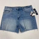 Articles of Society  Light Wash Denim Shorts NWT 29 Photo 0