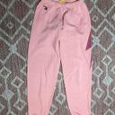 Aviator Nation Preppy  Petal Pink Sweatpants with Purple Fade Lightening Bolt Photo 2