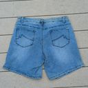 Max jeans  Medium Wash Mid Rise Denim Shorts Photo 7