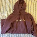 The North Face  Hoodie Photo 1