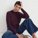 Madewell NWT  Mockneck Crop Sweater Heather Plum Photo 0