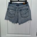 American Eagle Outfitters Shorts Photo 1