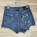 Abercrombie & Fitch Curve Love High Rise Mom Short Distressed Womens Size 27/4 Photo 4