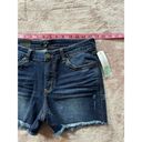 Dear John  Womens Sydney Distressed Fray Hem Short Blue Denim Size 27 NWT Photo 6