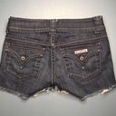 Hudson Dark Wash Shorts ( Vintage) Photo 1