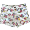 Krass&co Bullhead . Vintage Rose Garden Mom Short size 9 Photo 0